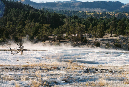 [A terraced view of geyser buildup formations.]